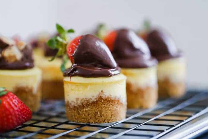 easy mini cheesecakes best recipe