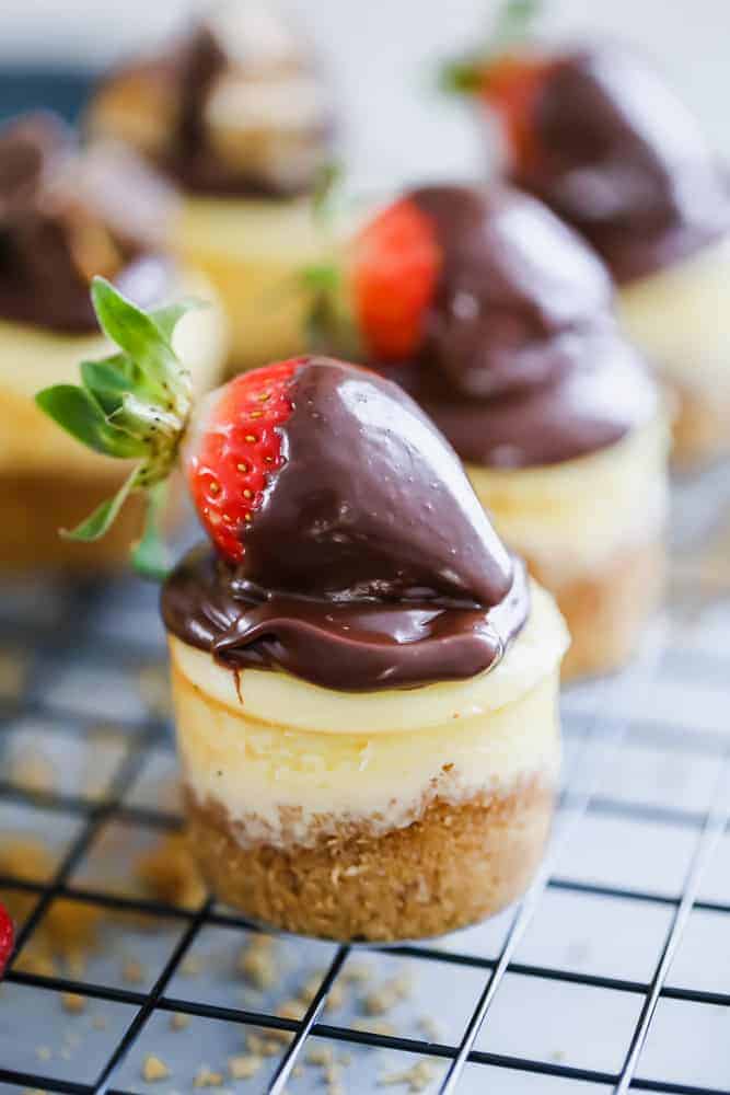 easy mini cheesecakes best recipe