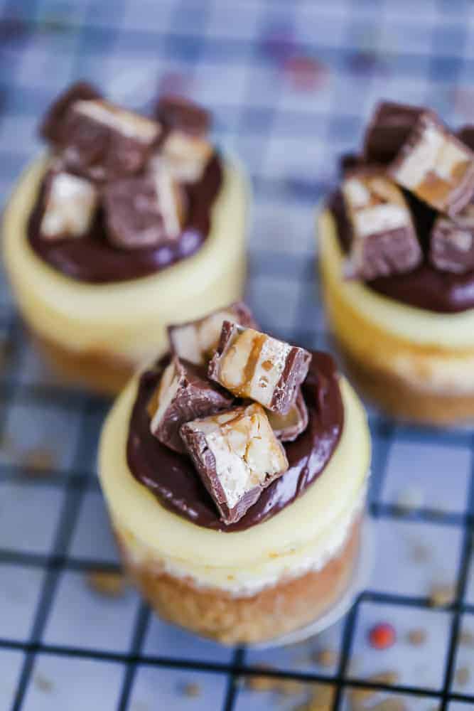 easy mini cheesecakes best recipe