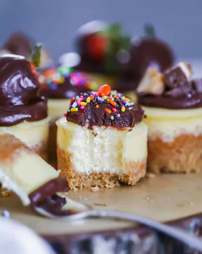 easy mini cheesecakes best recipe