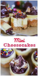 easy mini cheesecakes best recipe