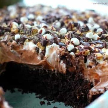 Chocolate Ganache S'More Cake