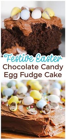 Chocolate Candy Egg Fudge Cake