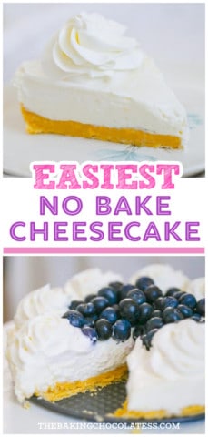 Easy No Bake Cheesecake dessert