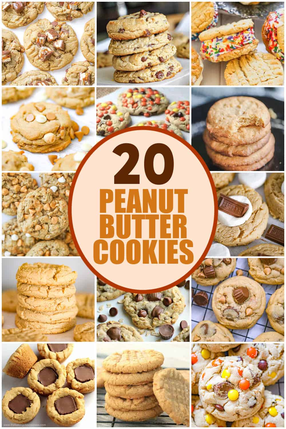20 Peanut Butter Cookies Recipe Roundup
