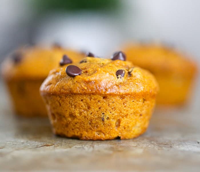 pUMPKIN MUFFINS with chocolate chips