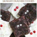 Monster and Mummy Chocolate Covered Graham Cracker Cookies