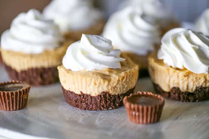 Keto Chocolate Peanut Butter Cheesecakes