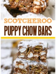 Awesome Scotcheroo Puppy Chow Bars