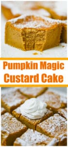 Pumpkin Magic Custard Cake