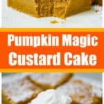 Pumpkin Magic Custard Cake - The Baking ChocolaTess