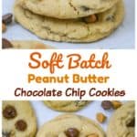 Soft Batch Peanut Butter Chocolate Chip Cookies
