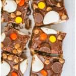 Heavenly Chocolate Peanut Butter Marshmallow Squares