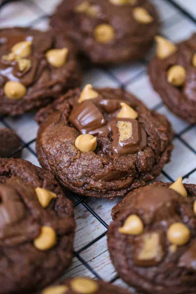 chocolate peanut butter cookies yummy