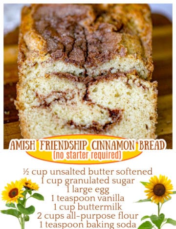 amish cinnamon friendship bread recipe without starter