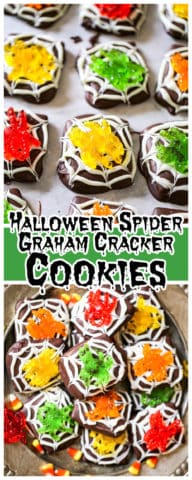 Spider Chocolate Graham Cookies