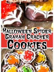 Spider Chocolate Graham Cookies
