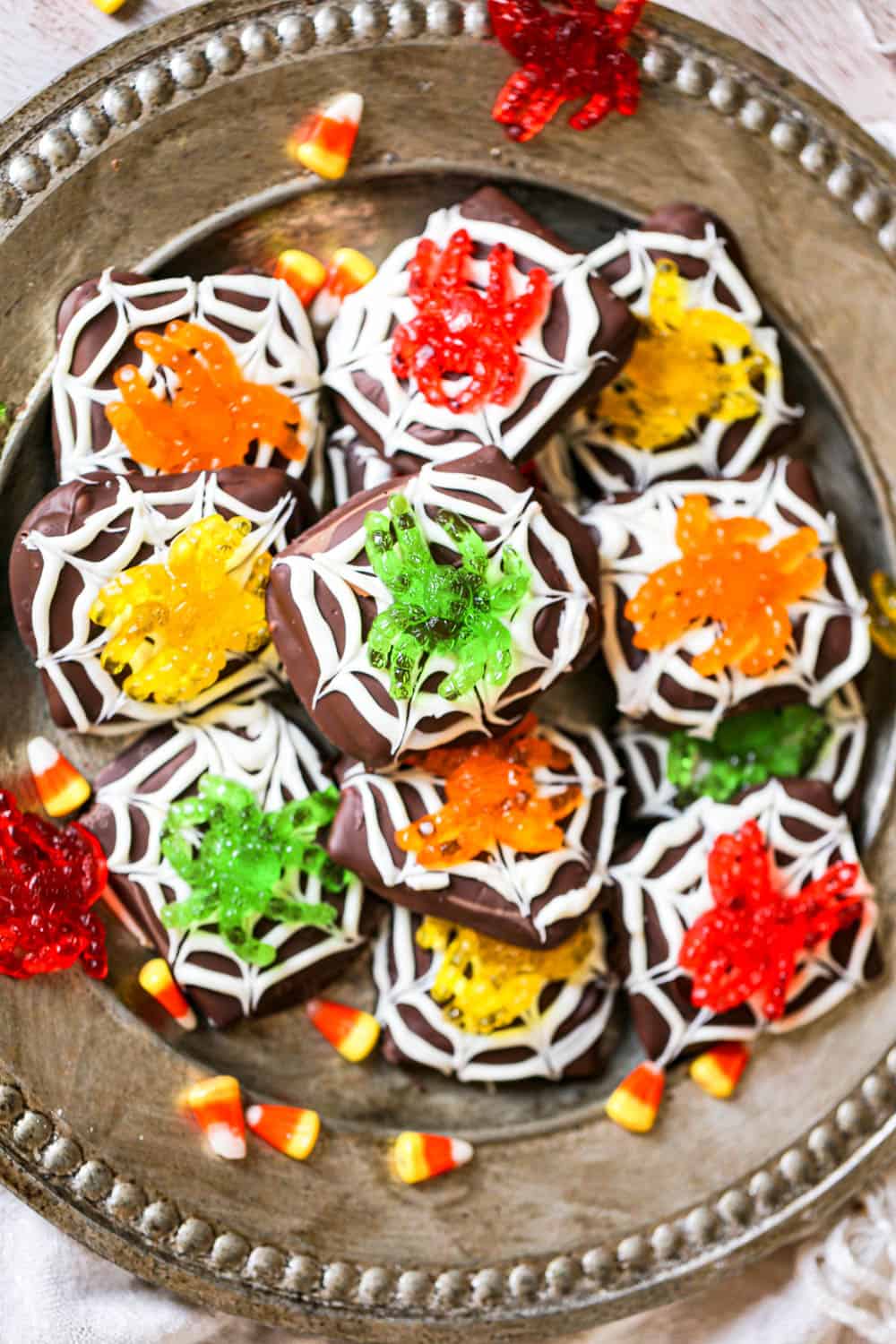 Spider Chocolate Graham Cookies