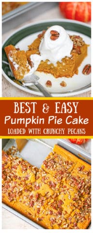 Pumpkin Pie Cake - The Baking ChocolaTess