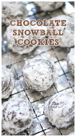 Chocolate Snowball Cookies