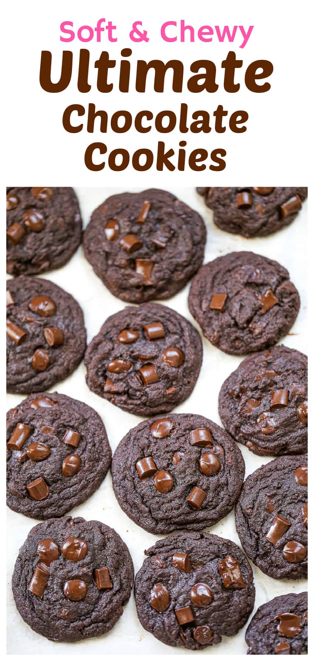 chocolate cookie recipe