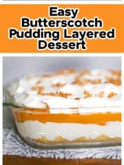 Easy Butterscotch Pudding Layered Dessert