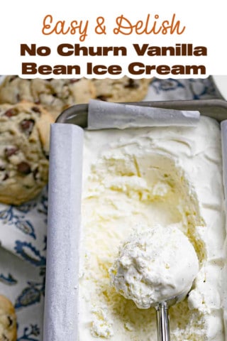 Easy & Delish No Churn Vanilla Bean Ice Cream