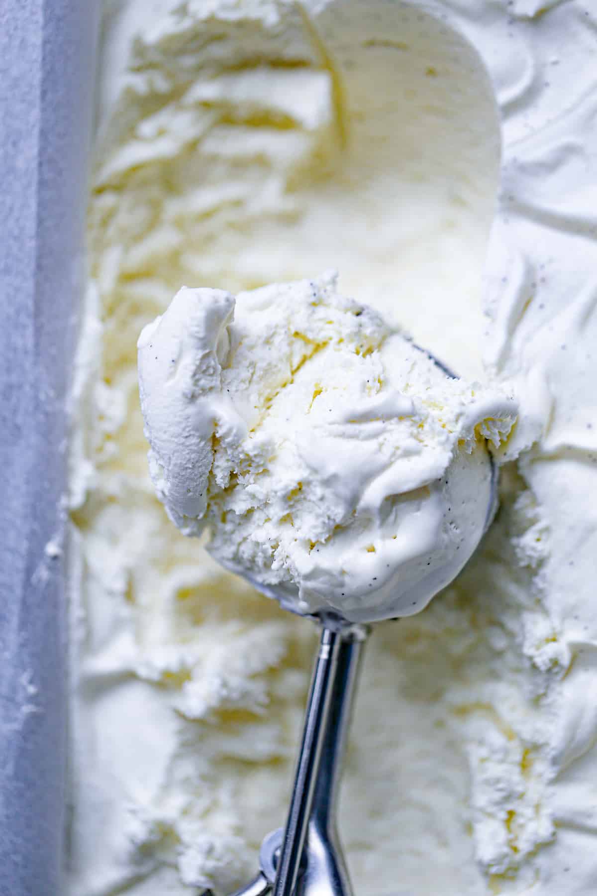 scoop of vanilla bean ice cream
