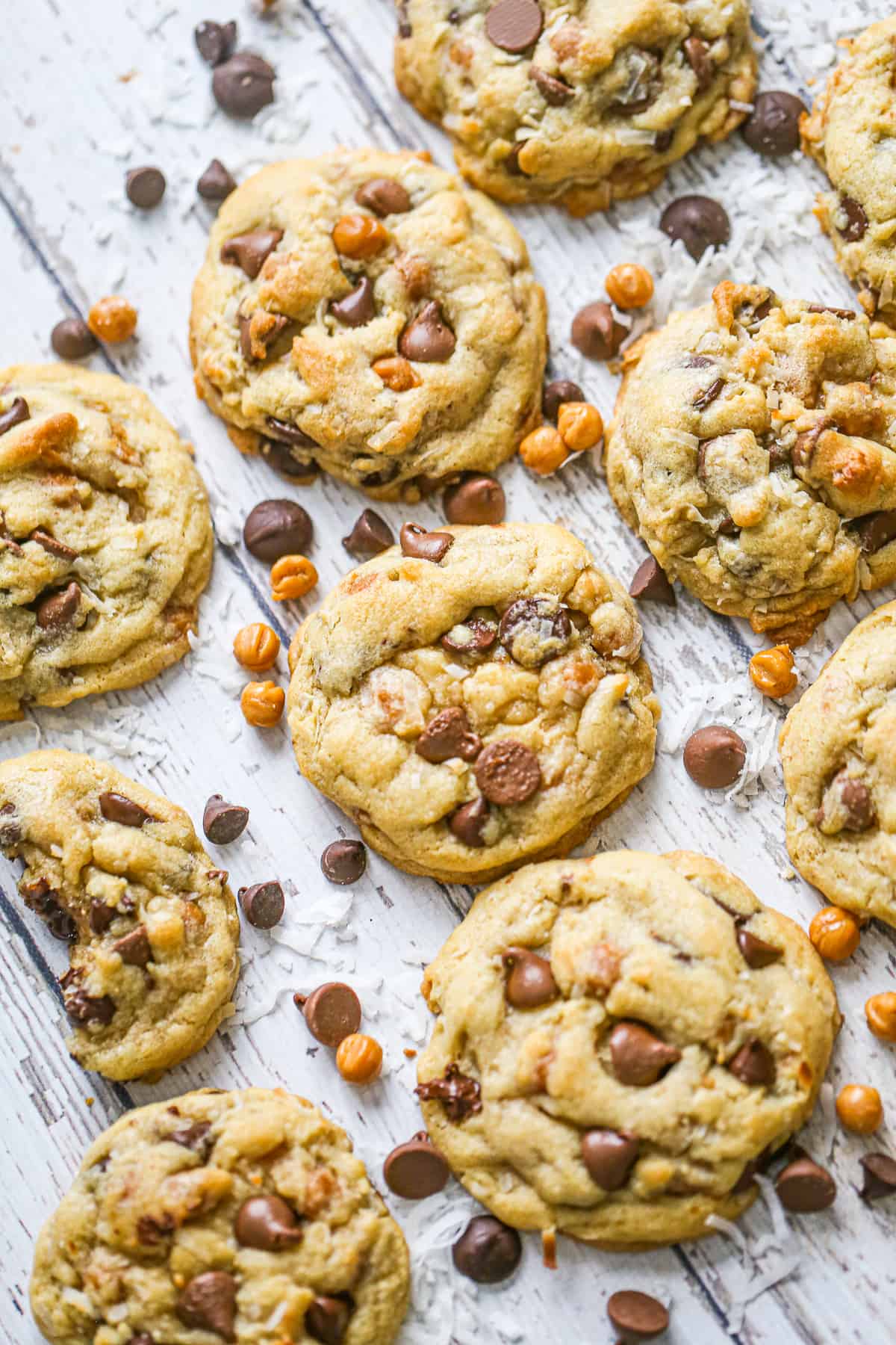 samoa cookies with chocolate chips, caramel and coconut