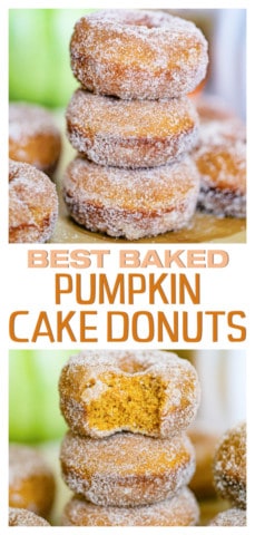 Baked Pumpkin Cake Donuts