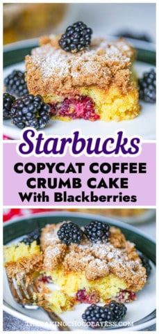Starbucks CopyCat Coffee Cake Recipe (with Blackberries)