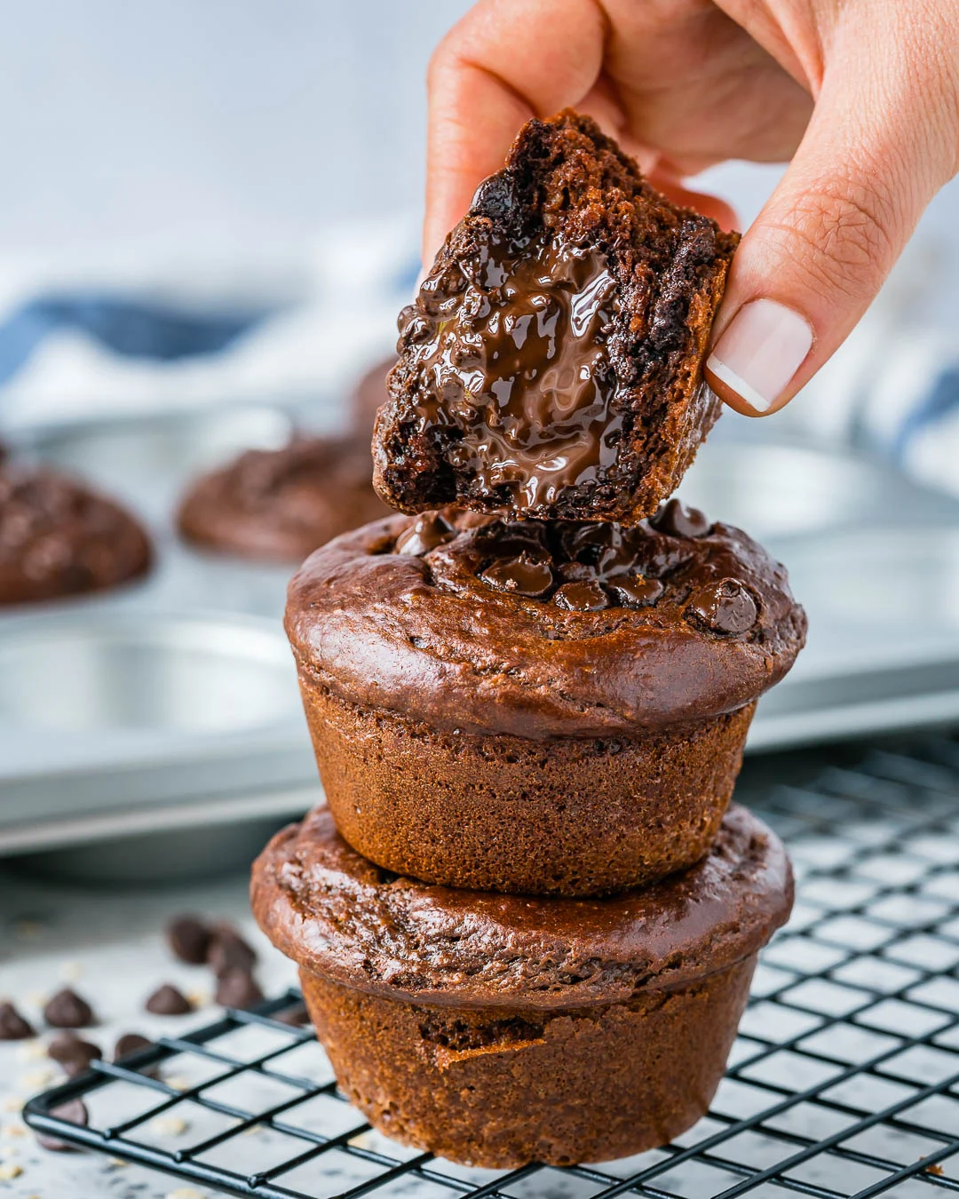 chocolate peanut butter muffins