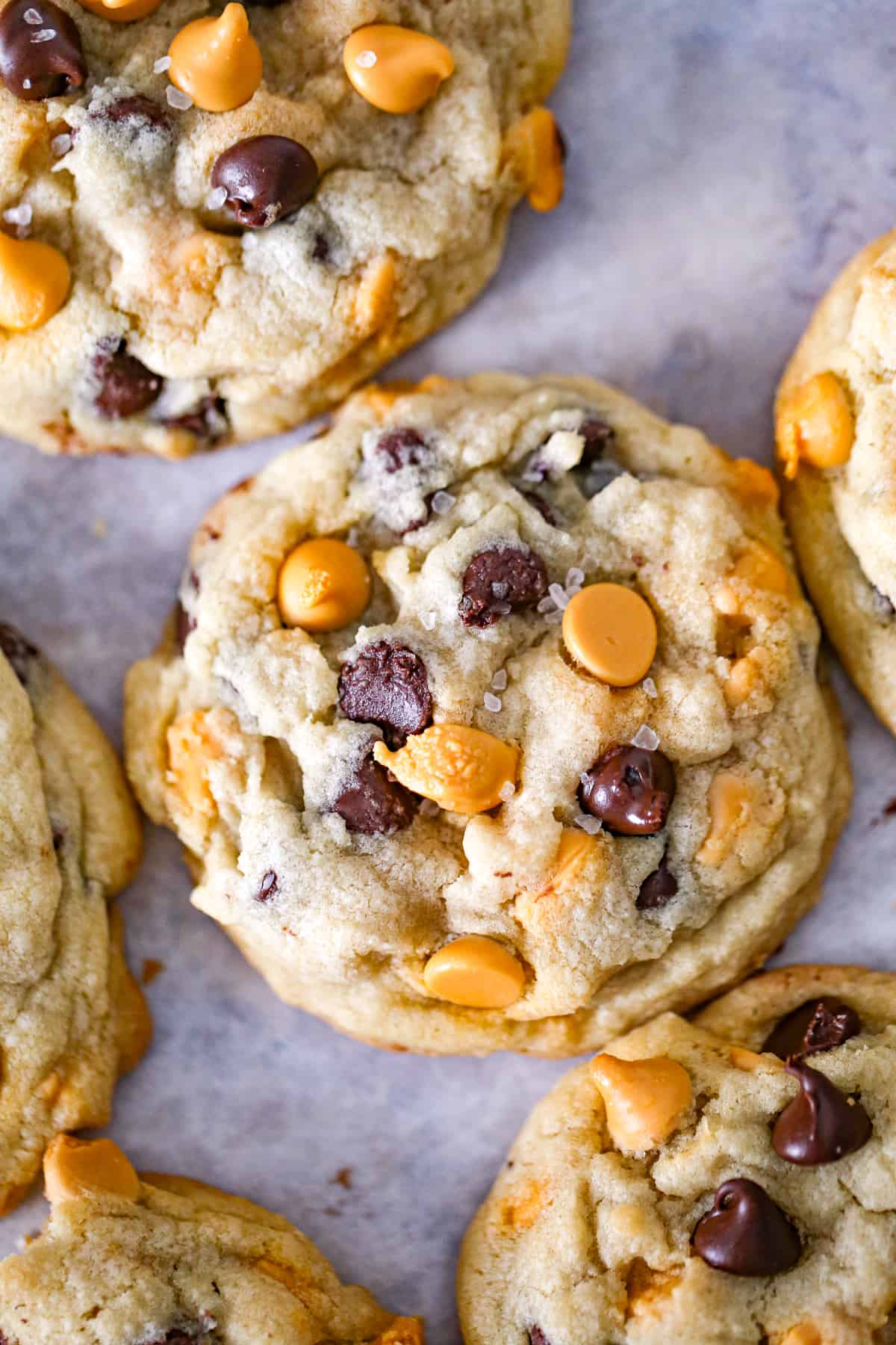 Best Ever Butterscotch Chocolate Chip Cookies