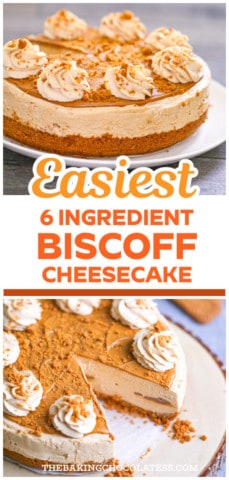 Easy No Bake Biscoff Cheesecake