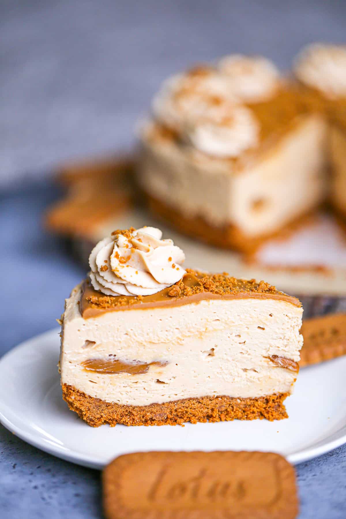easy no bake biscoff cheesecake recipe 