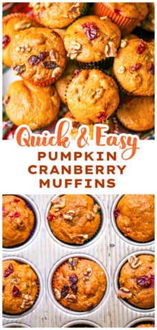 Best Pumpkin Cranberry Muffins