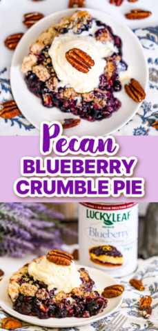 Pecan Blueberry Crumble Pie
