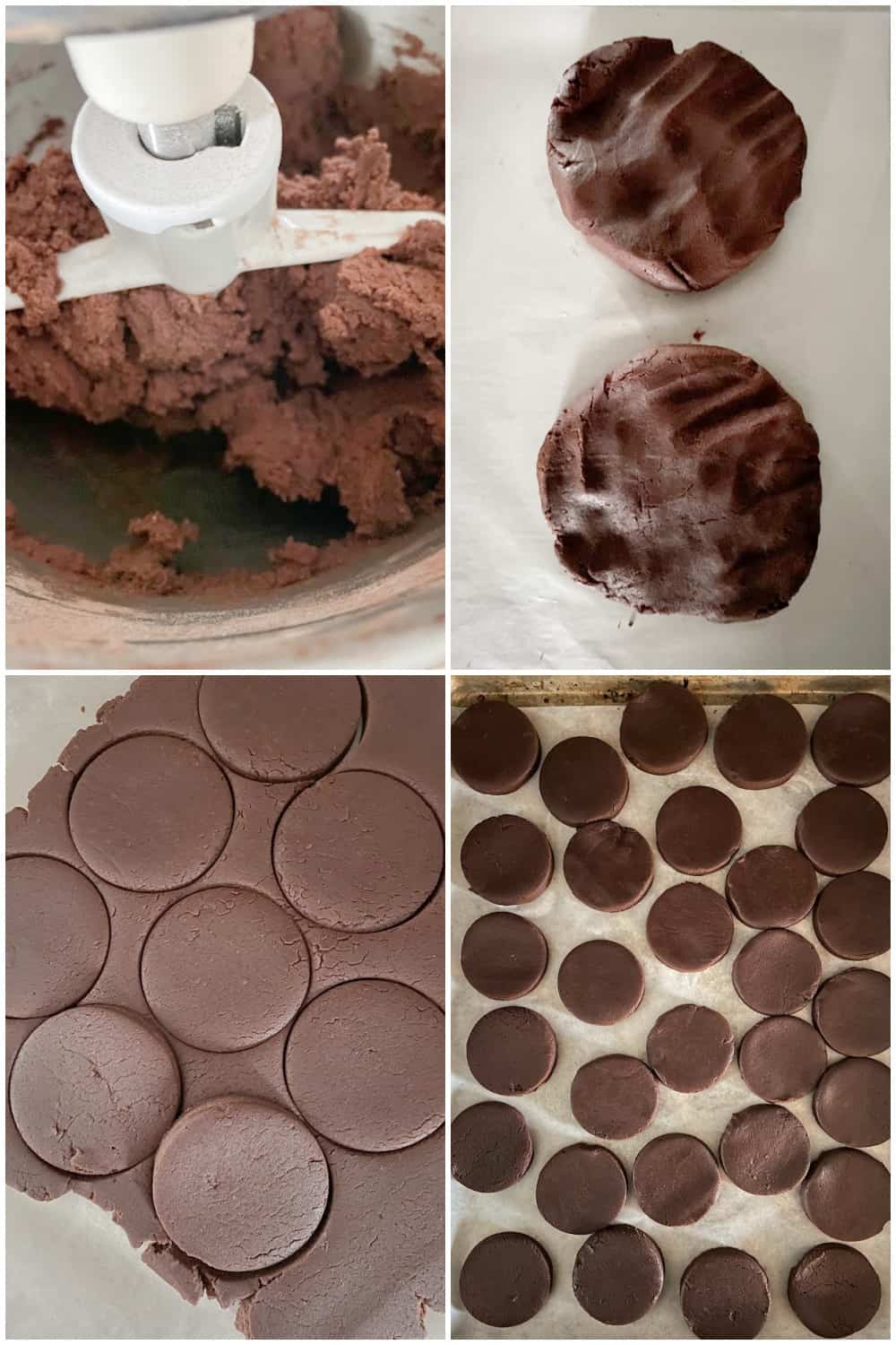 chocolate cutout cookies