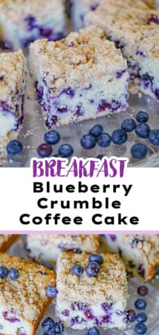 Blueberry Crumble Coffee Cake