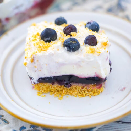 Easy Blueberry Cheesecake Delight