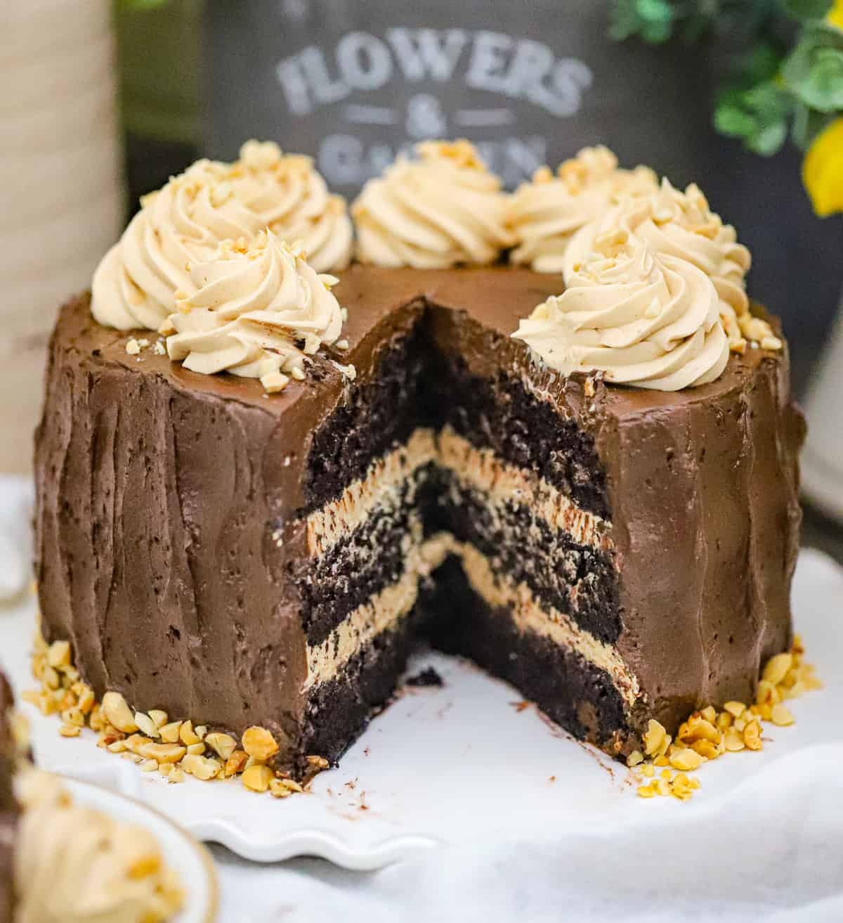 Chocolate Peanut Butter Cake