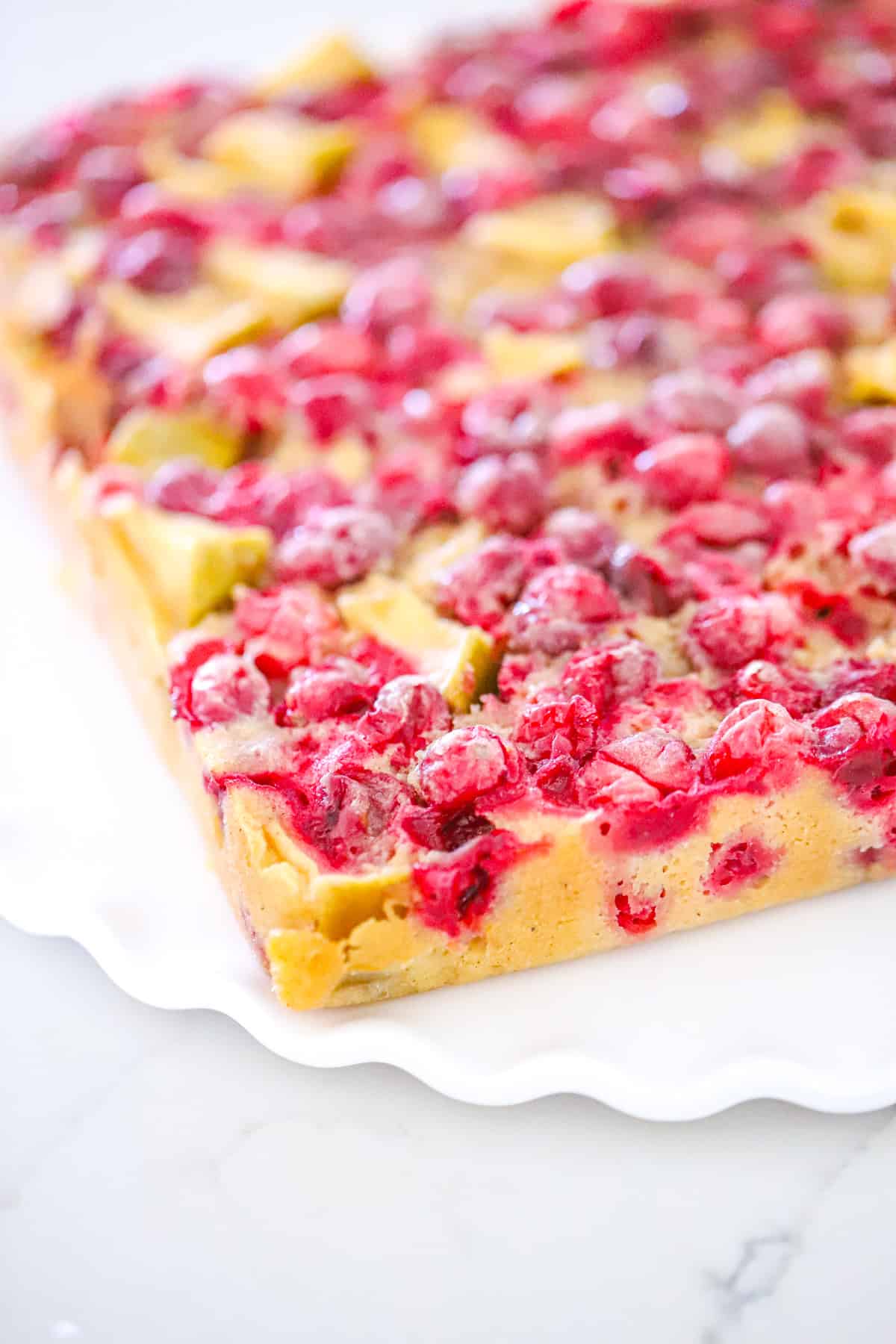 closeup of moist cranberry apple cake texture