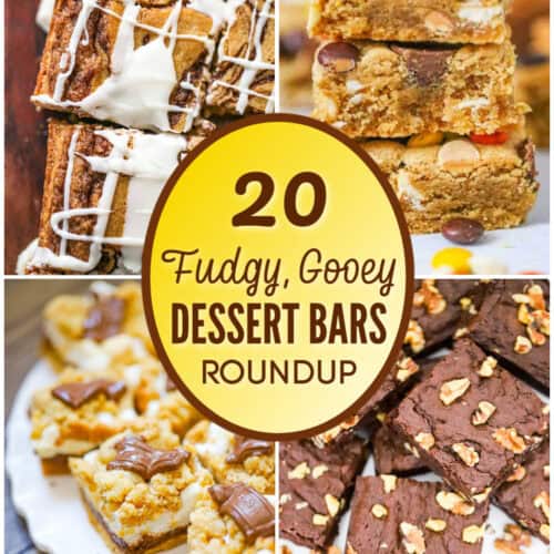 20 FUDGY, GOOEY Dessert Bars ROUNDUP