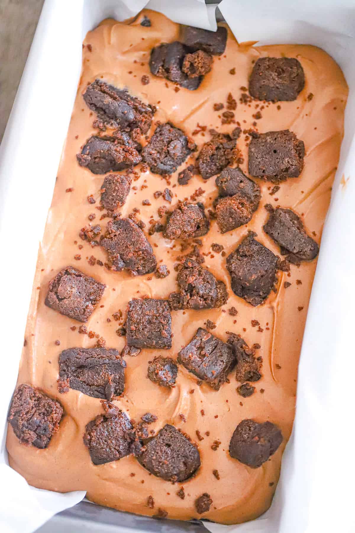 chocolate brownie ice cream with creamy chocolate scoops in a bowl cottage cheese ice cream base or Greek yogurt