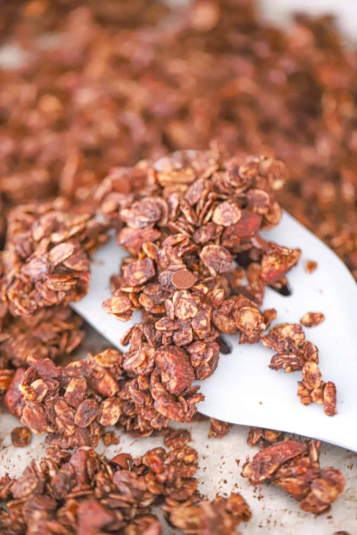 chai chocolate granola ingredients with oats, cocoa, pecans, and maple syrup