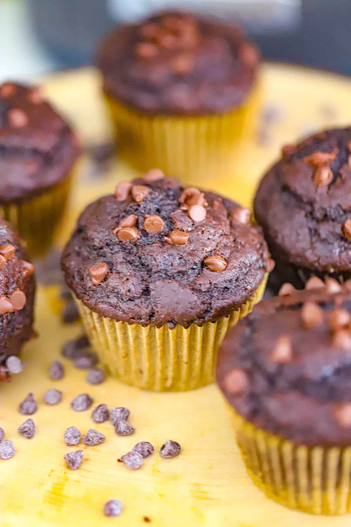 Chocolate chai muffins with tall domed tops and chocolate chips